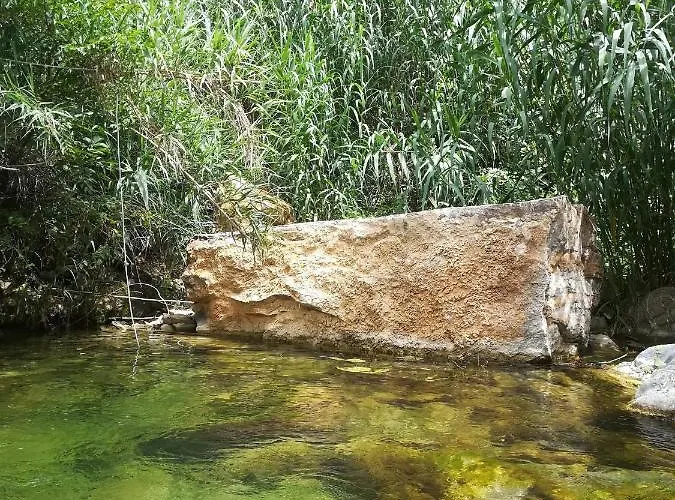 Il Cavedano Innamorato Apartment Dolcedo