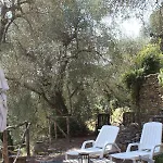 Il Cavedano Innamorato