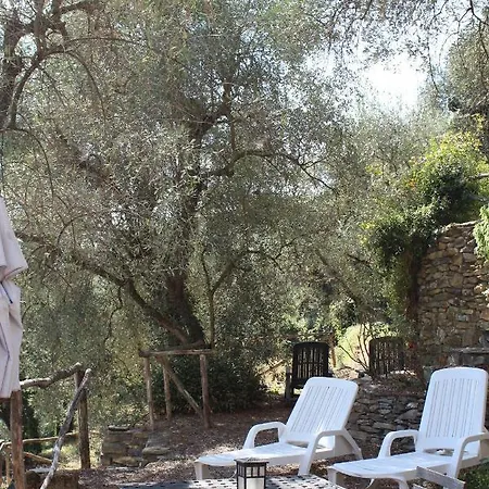 Il Cavedano Innamorato