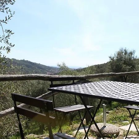 Il Cavedano Innamorato *